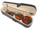 Student Violins | Suzuki Violin 220