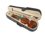 Student Violins | Suzuki Violin NS20
